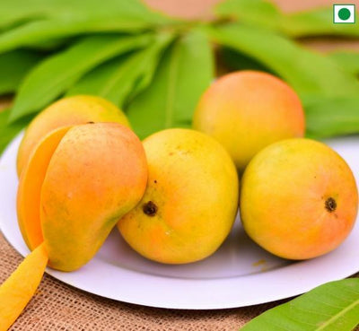 Alphonso Mango-Tredy Foods