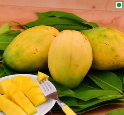 Imampasanth Mango-Tredy Foods